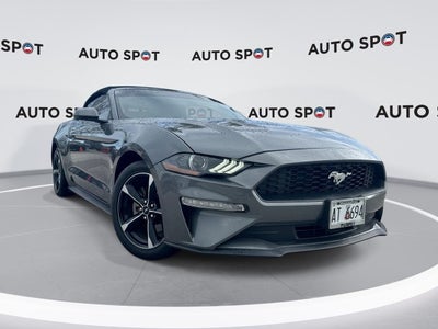 2022 Ford Mustang EcoBoost