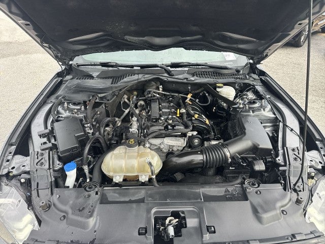 2022 Ford Mustang EcoBoost
