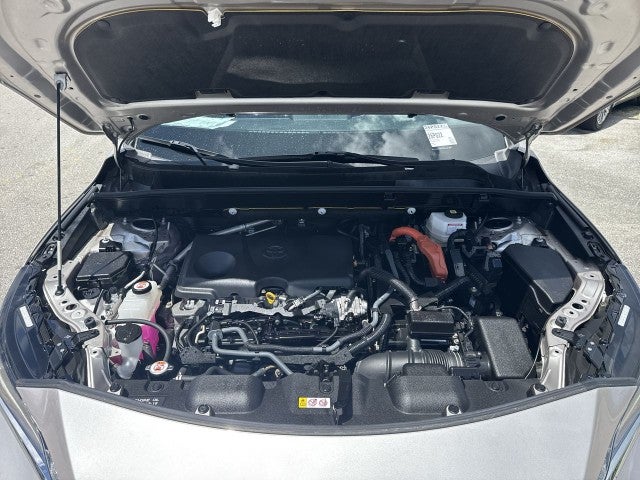 2024 Toyota Venza LE